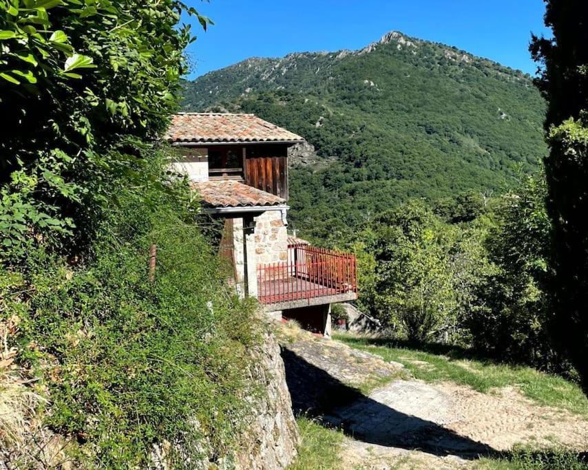 Gite Des Sausses Dans Une Nature Preservee Burzet Экстерьер фото